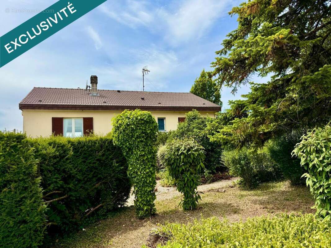 Maison 181 m² à Verdun  - photo 3