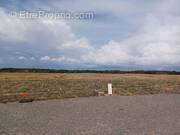 Terrain à SAINT-MEDARD