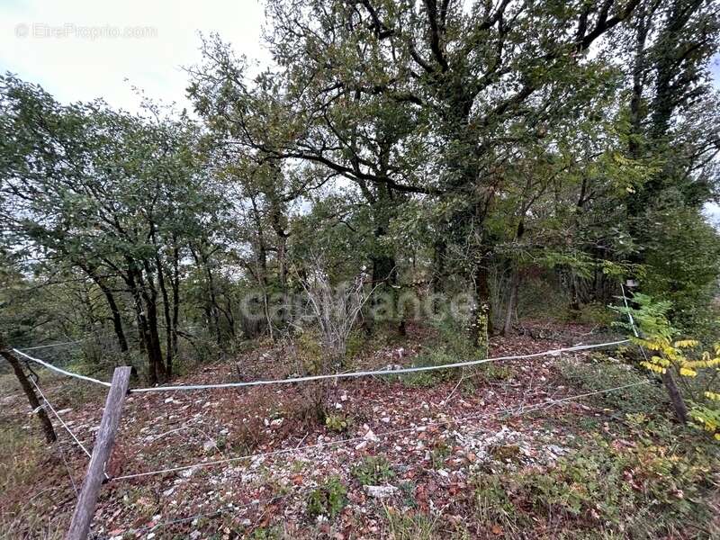 Terrain à vendre  16300m² SAINT PANTALY D'EXCIDEUIL (24) - photo 6