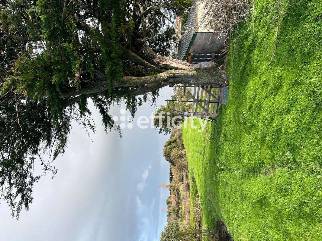 Terrain à L&#039;ILE-D&#039;OLONNE