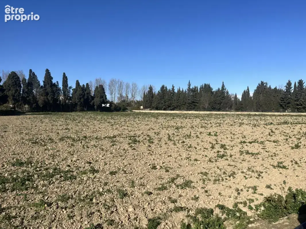 À VENDRE : Terrain Maraîcher à proximité d'Elne - photo 5