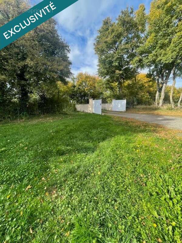 Photo 3 - Maison à MOSNAY