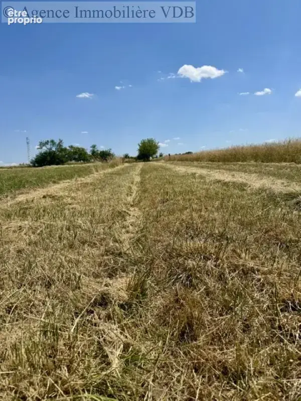Terrain de 1024 m²  m² - photo 3