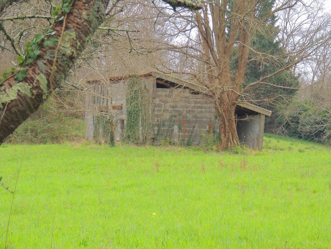 Maison à SALIES-DE-BEARN