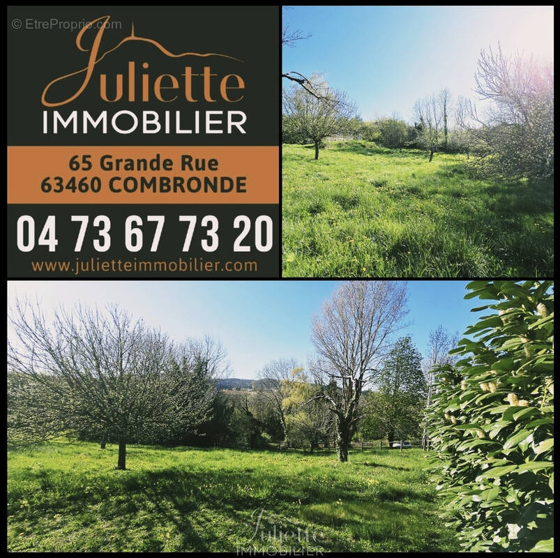 Terrain à COMBRONDE