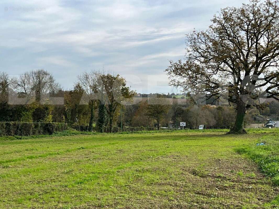 IMG-20251129-WA0007 - Terrain à MOUCHAMPS