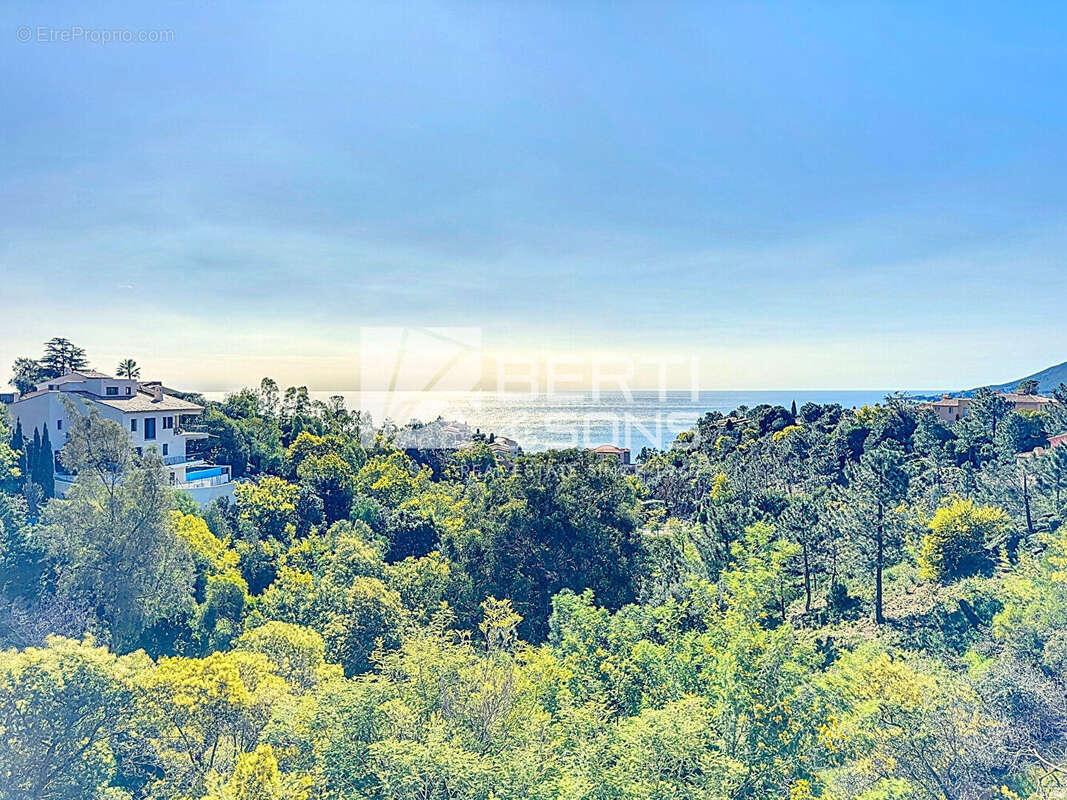Appartement à THEOULE-SUR-MER