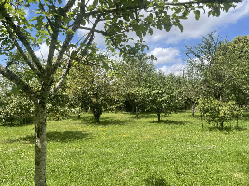 Maison à ARCES-DILO