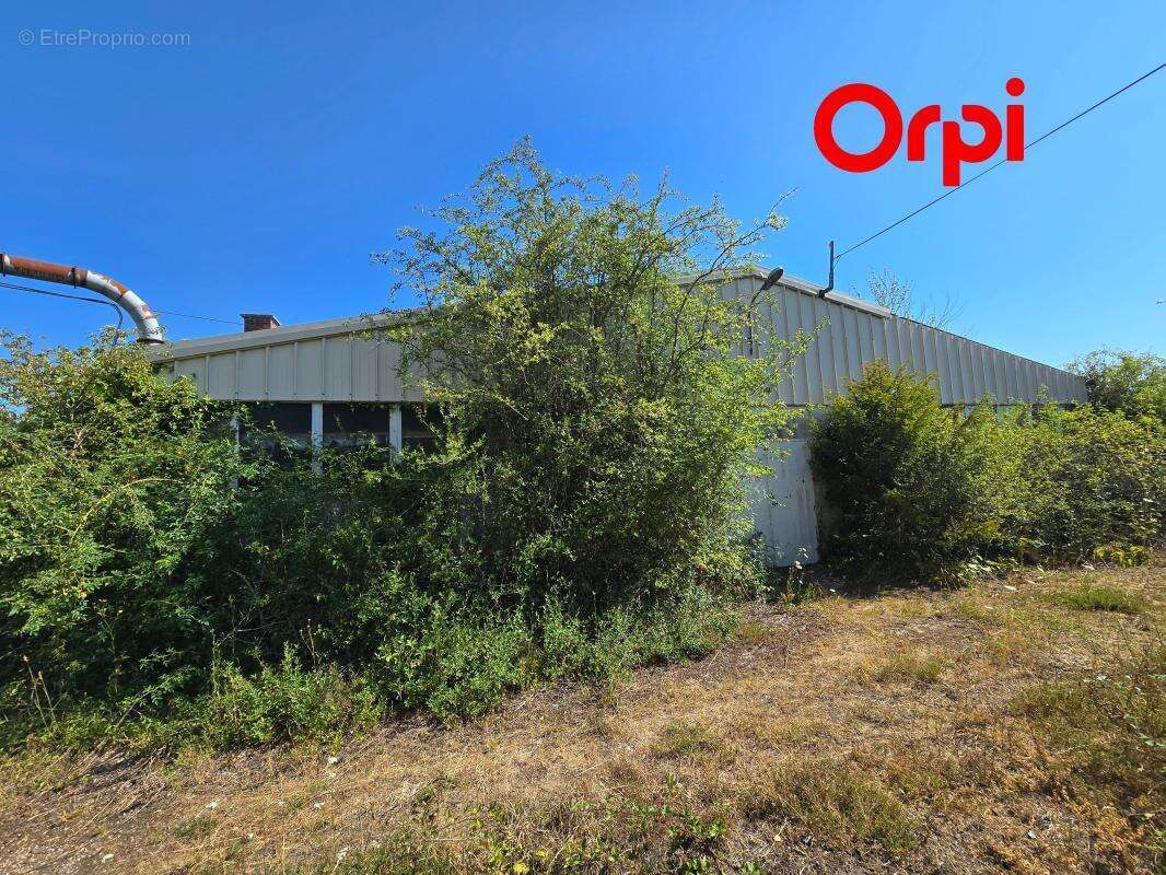 local artisanal et industriel de 540 m² avec terrain de 2 000 m² - photo 5