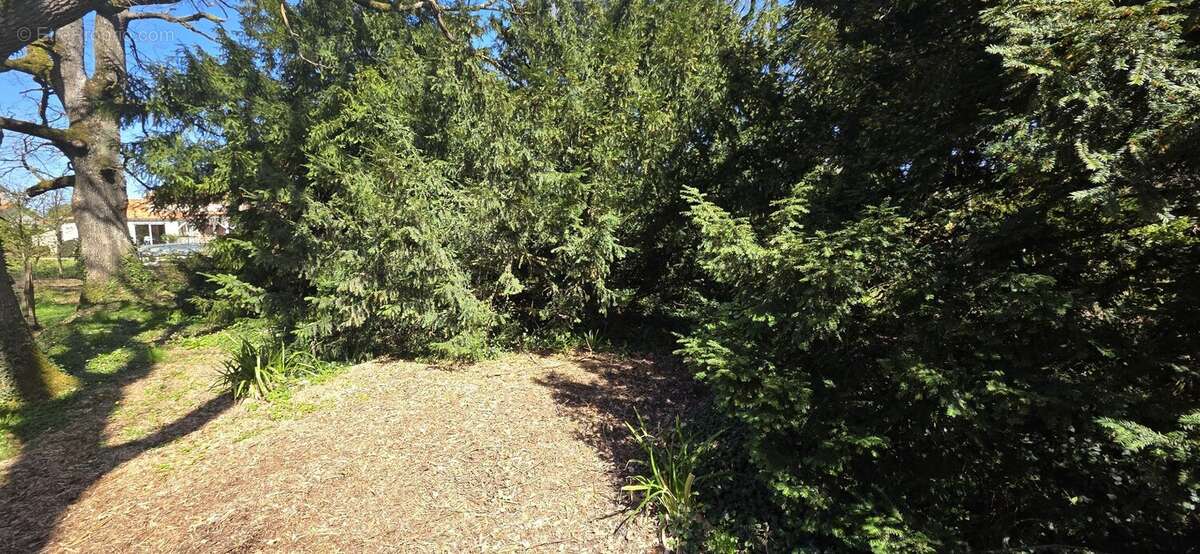 Terrain à MIGNALOUX-BEAUVOIR