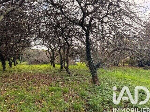 Photo 5 - Terrain à PLOZEVET