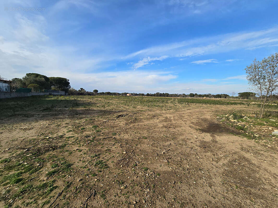 Terrain Argeles Sur Mer 44784 m2 - photo 3