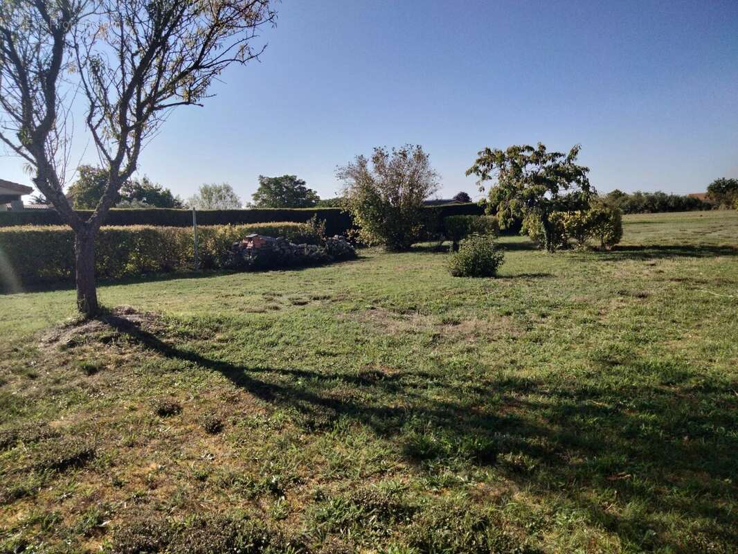 Maison à NEUVILLE-DE-POITOU