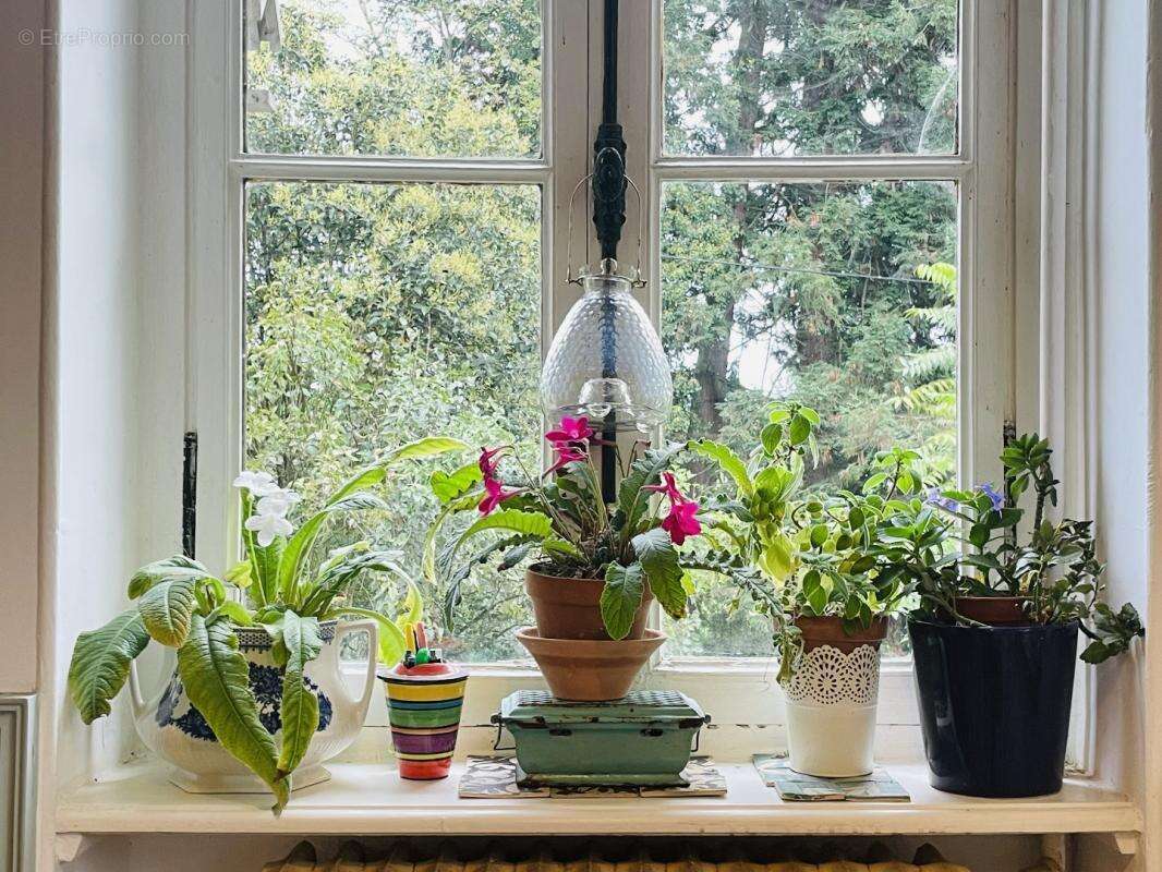 Maison à SAINTE-DODE