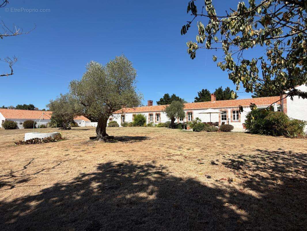Soullans 85300 - domaine prive de 3,2 hectares clos - propriete d'exception avec granges et presqu'ile - photo 3