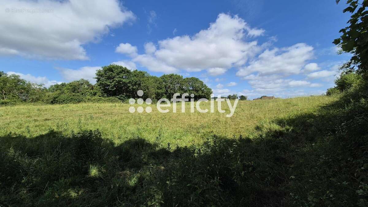 Maison ancienne - photo 23
