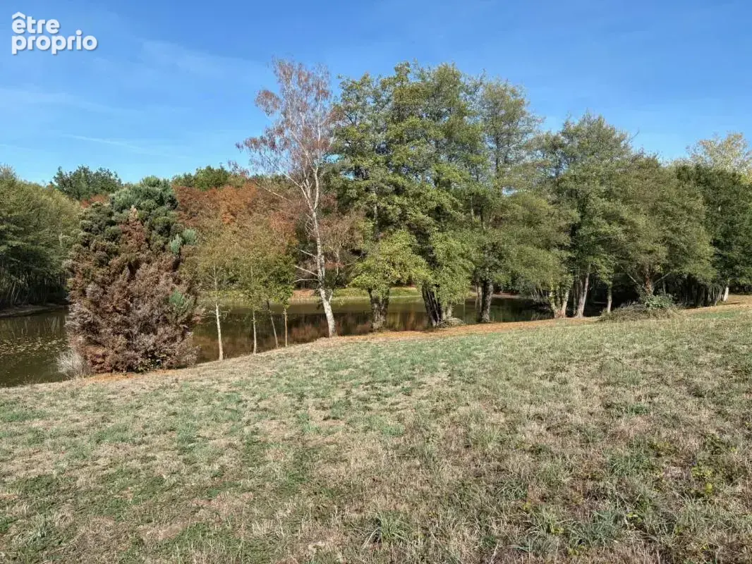 Terrain 16 820 m² à vendre à Genouillac (23350) - photo 7