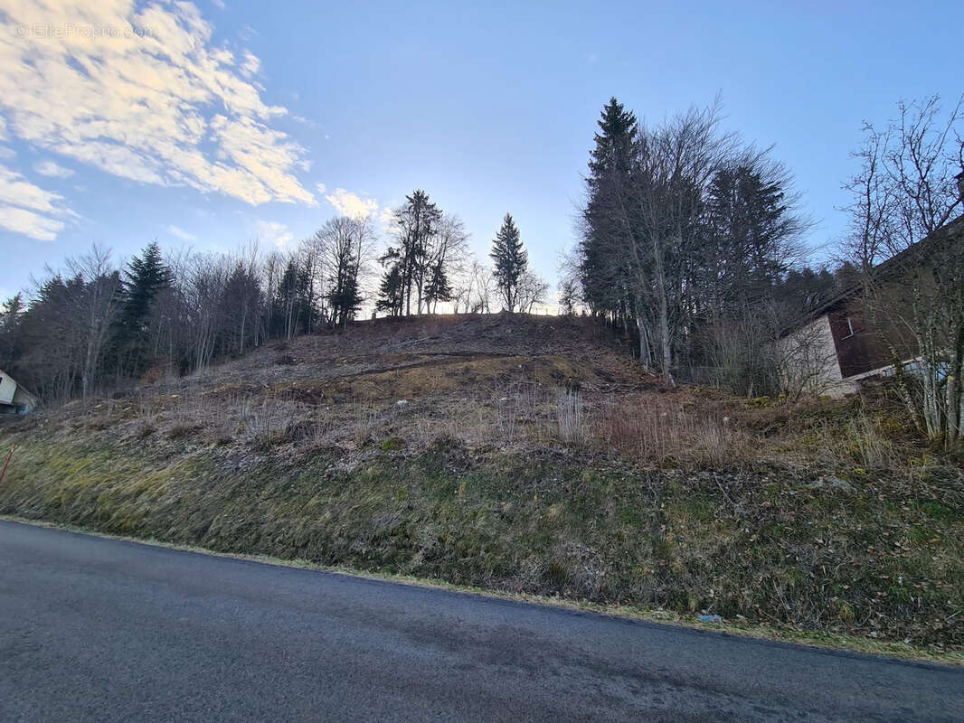 Terrain à MONTPERREUX