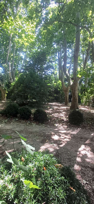 Maison à PIERRELATTE