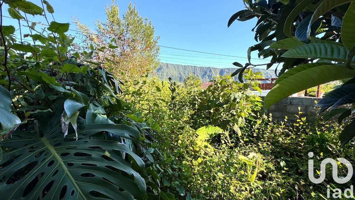 Photo 4 - Maison à LA PLAINE-DES-PALMISTES