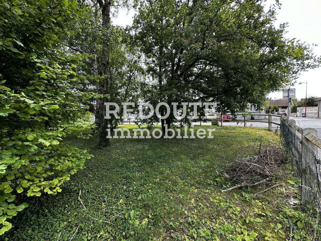 Terrain à BEINE-NAUROY