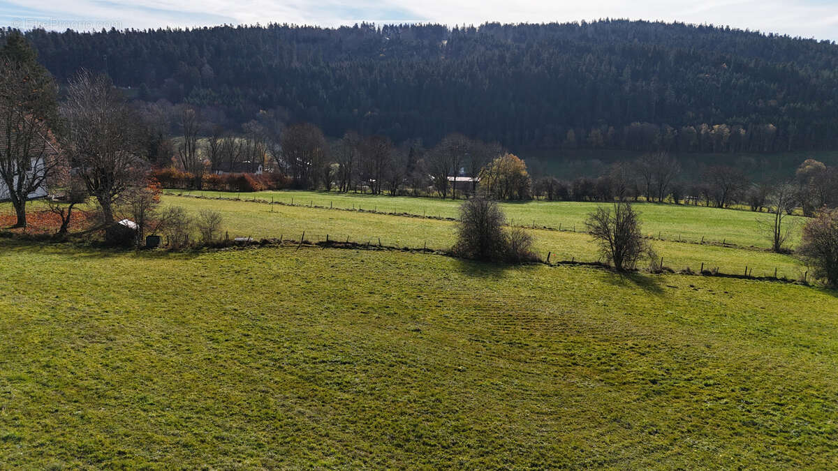 Terrain à FOURNETS-LUISANS