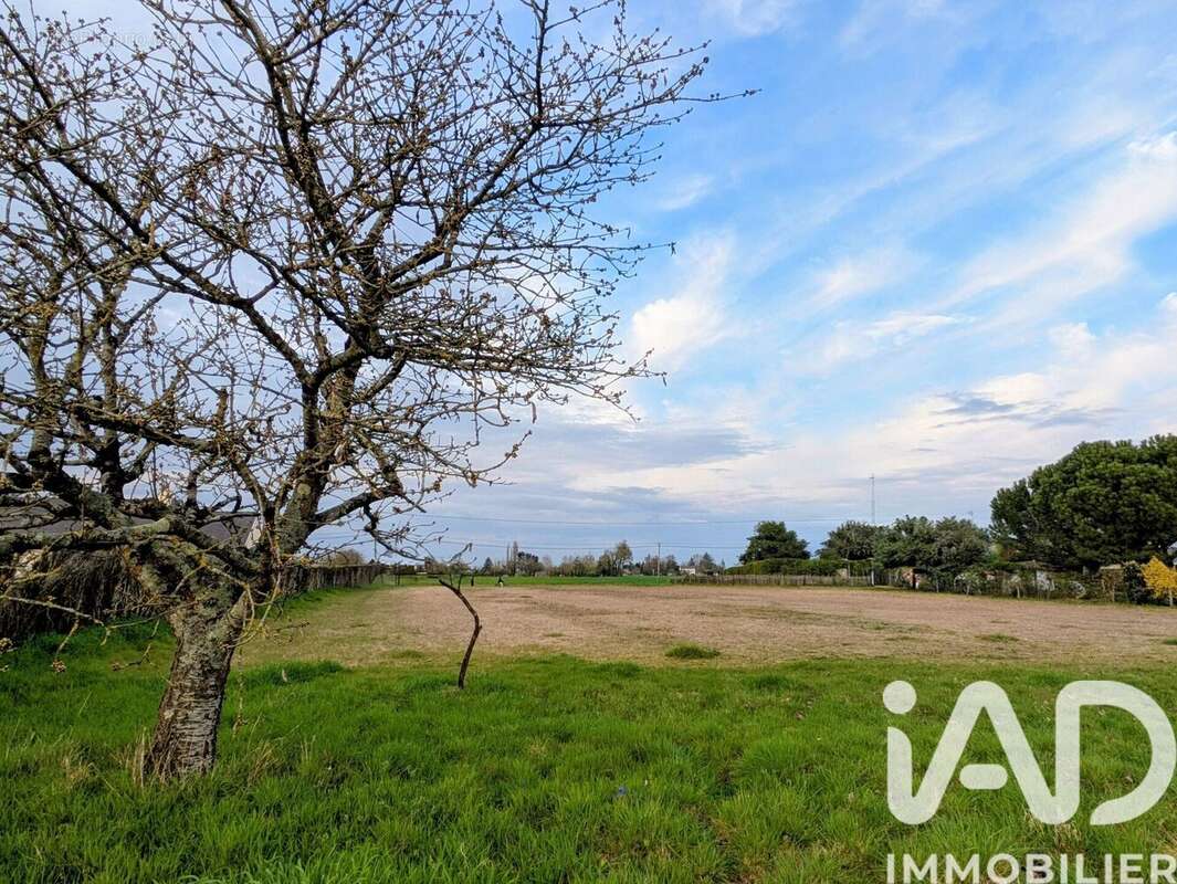 Terrain 1840 m² à Beaufort-En-Vallee  - photo 2