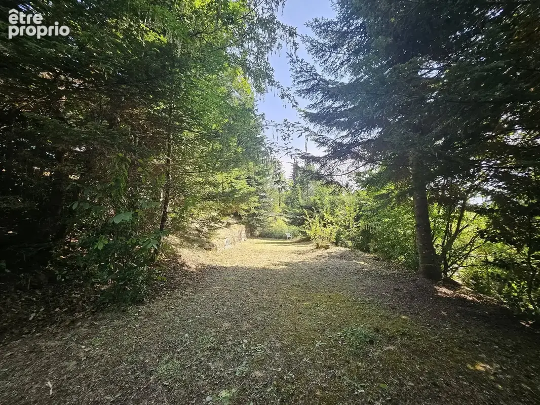 Chalet et Terrain à Peïra-Cava - photo 29