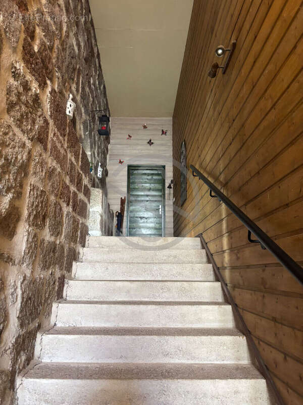 Appartement Annonay 5 pièce(s) 169 m2 - photo 2
