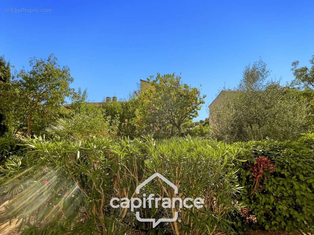 Appartement 40m2 rénové et climatisé, en rez de jardin , une chambre et sa salle de douche, sa terrasse couverte ,, piscine rési - photo 4