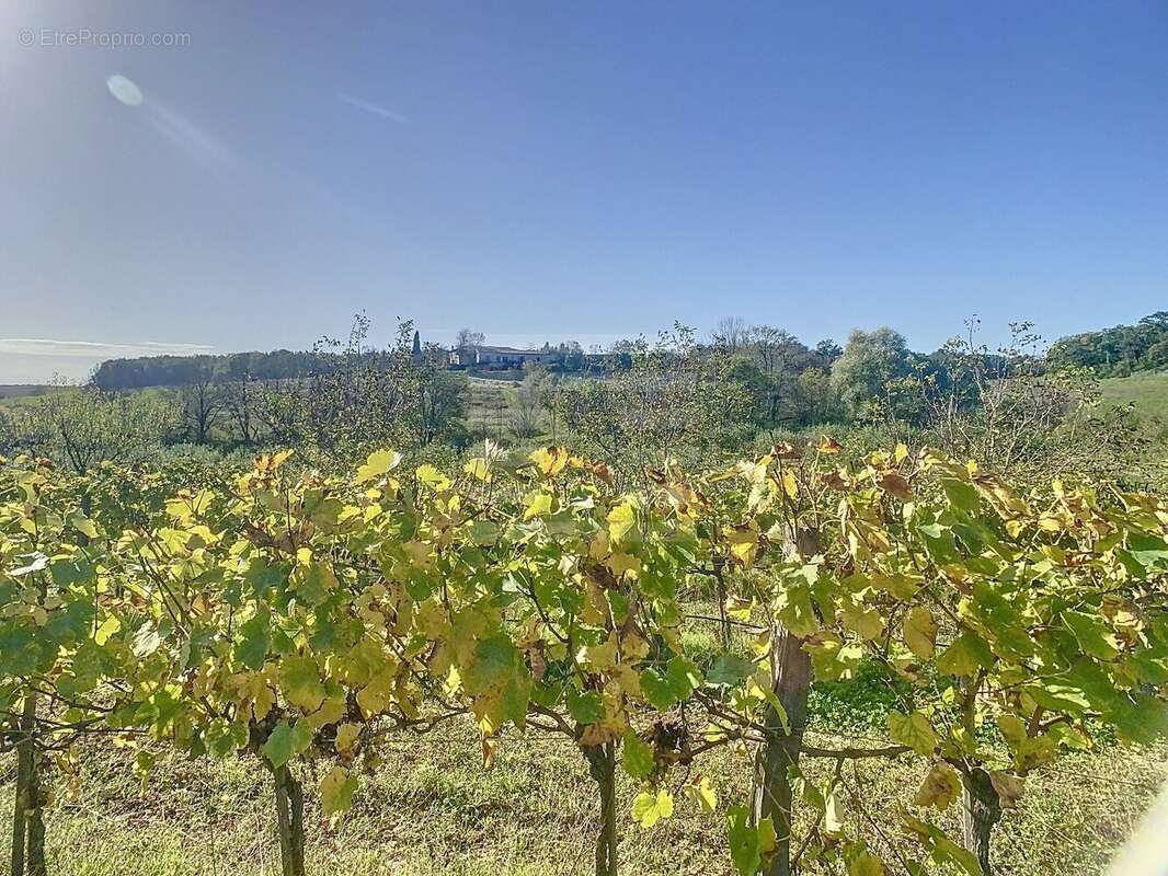 Maison à GAILLAC