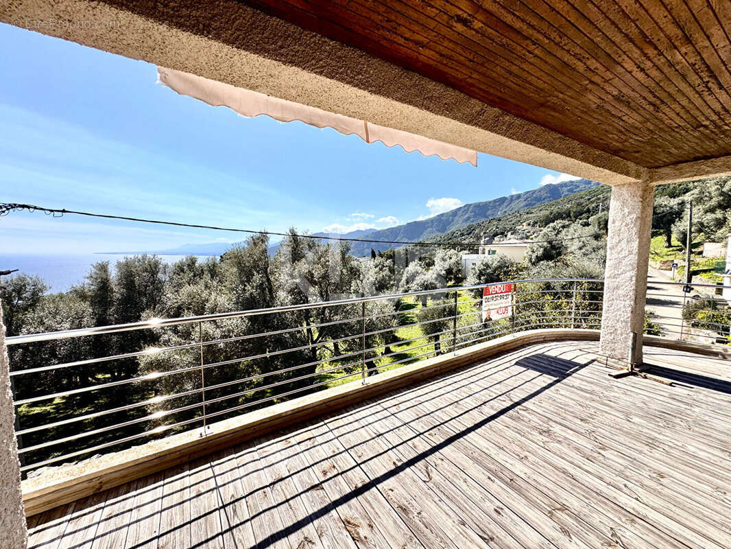 Villa avec vue mer à Brando - photo 3