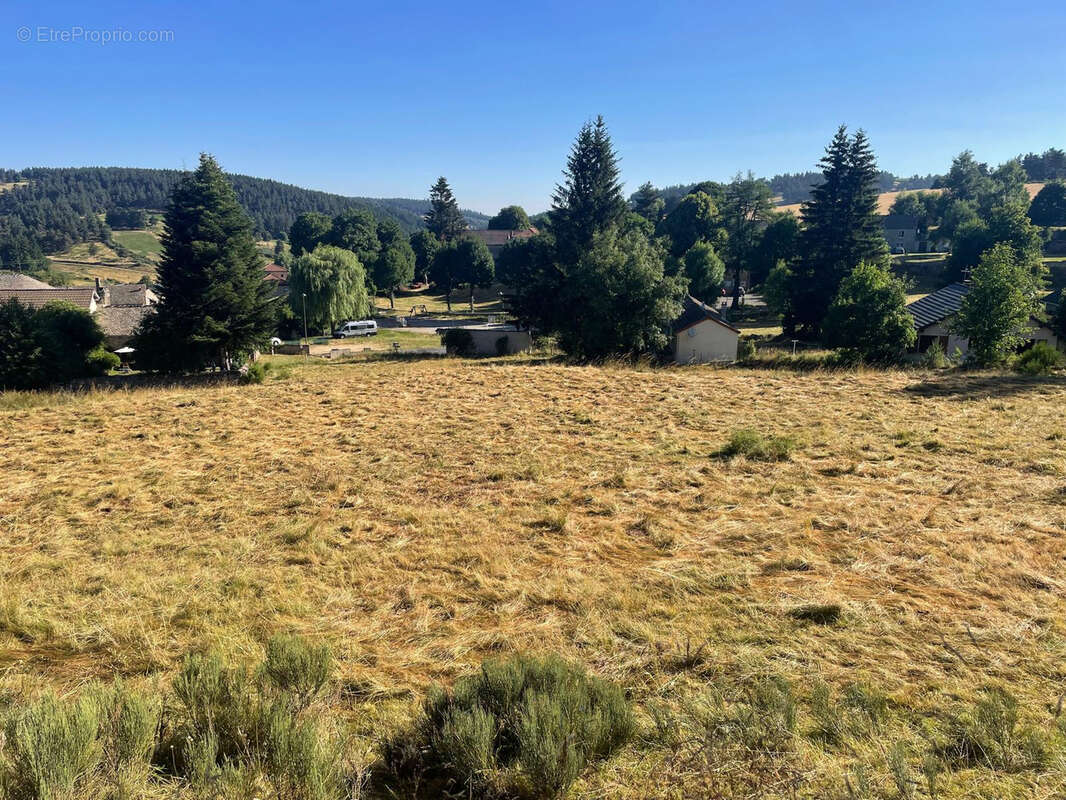 Terrain constructible de 6400 m2 avec certificat d'urbanisme - Possibilité de 4 maisons - photo 3
