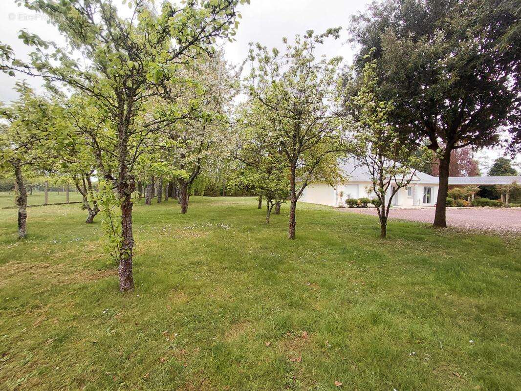 Parc au calme, Nouveauté, Plain pied, 4 chambres - photo 13