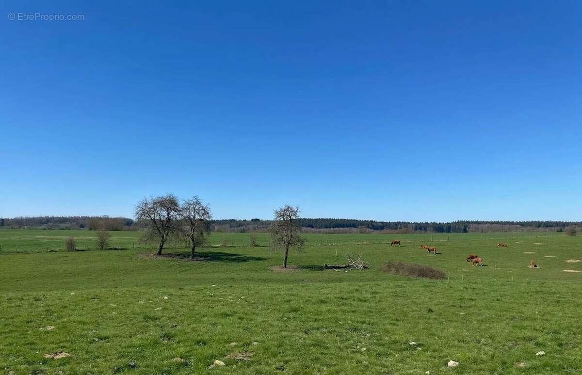 Maison à MORTAGNE-AU-PERCHE