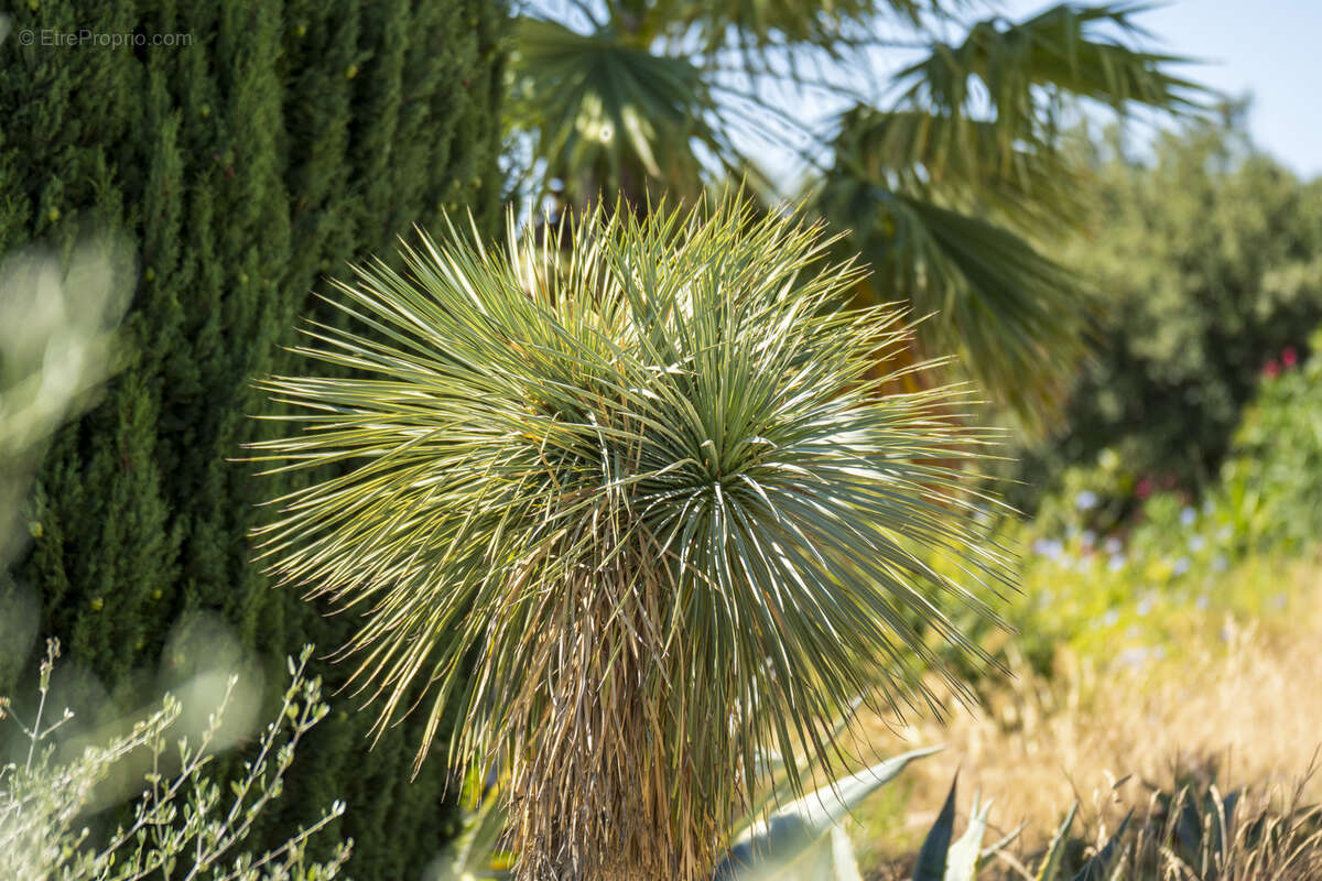 Maison à SAINT-GILLES