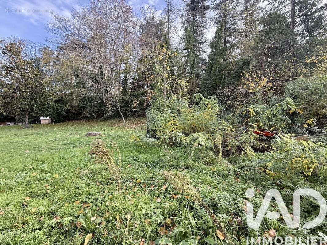 Photo 6 - Terrain à CARSAC-AILLAC