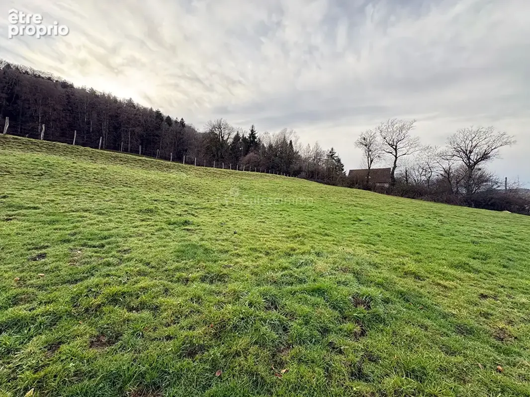Terrain de 1197 m² viabilisé - photo 2