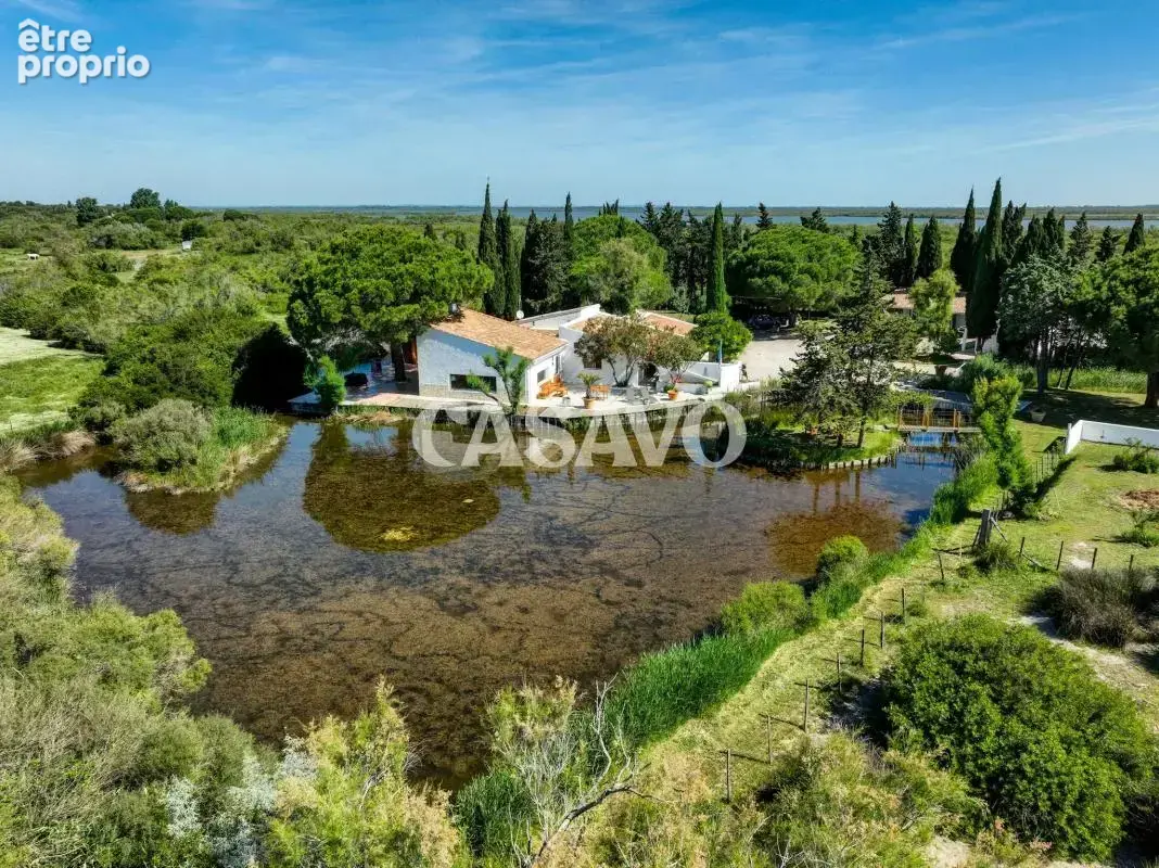 Vente Maison 8 pièces de 300m² - 13460 Saintes-Maries-de-la-Mer - photo 38