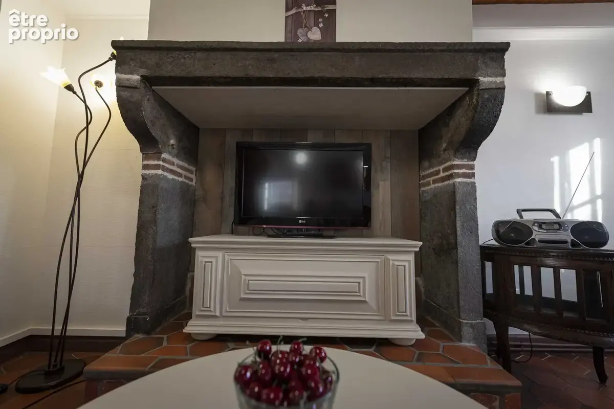 Maison 20 pièces 508 m² à vendre à Olloix (63450) - photo 8