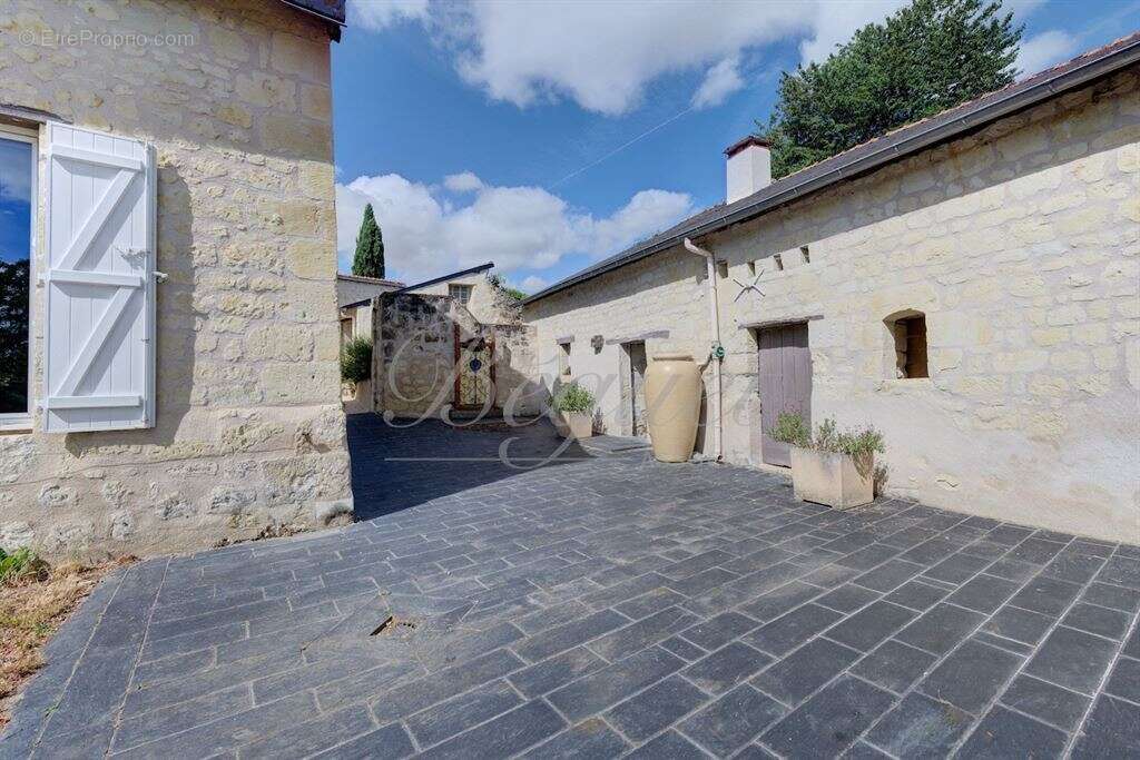 Indre et loire - chinon / thizay 37500 - maison 234 m² - 5 ch - deux gites - piscine - parc 8 000 m² - photo 14