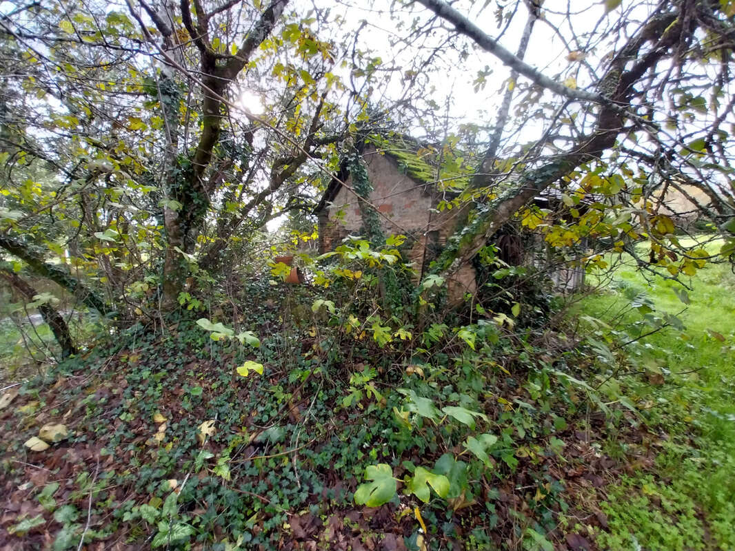 Maison à SAINT-LAURENT-DES-HOMMES