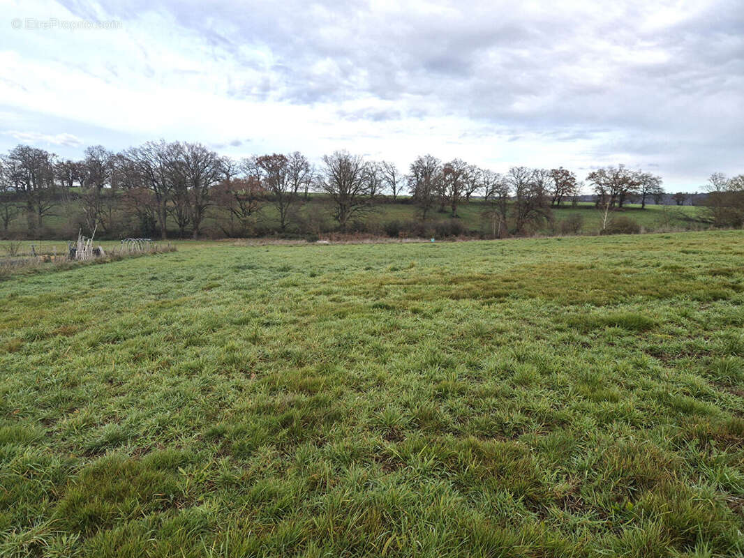 Terrain à SAINT-VICTOR