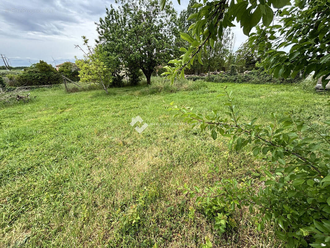 Terrain à LE ROCHEREAU