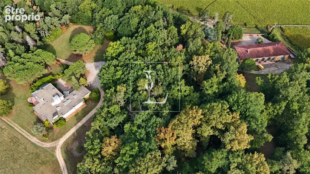 Negrepelisse — domaine familial de 9,7 hectares avec villa d’architecte, ferme de caractere et parc - photo 14