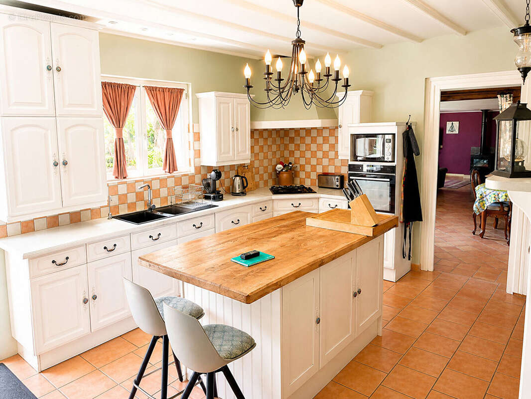 Propriété de charme avec maisons d'amis , granges et piscine - photo 13