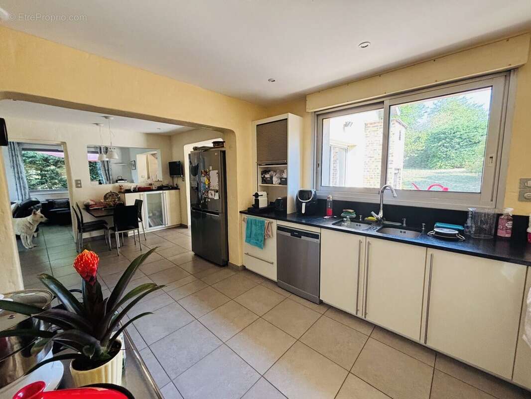 Maison 228 m² à Peyrins  - photo 5