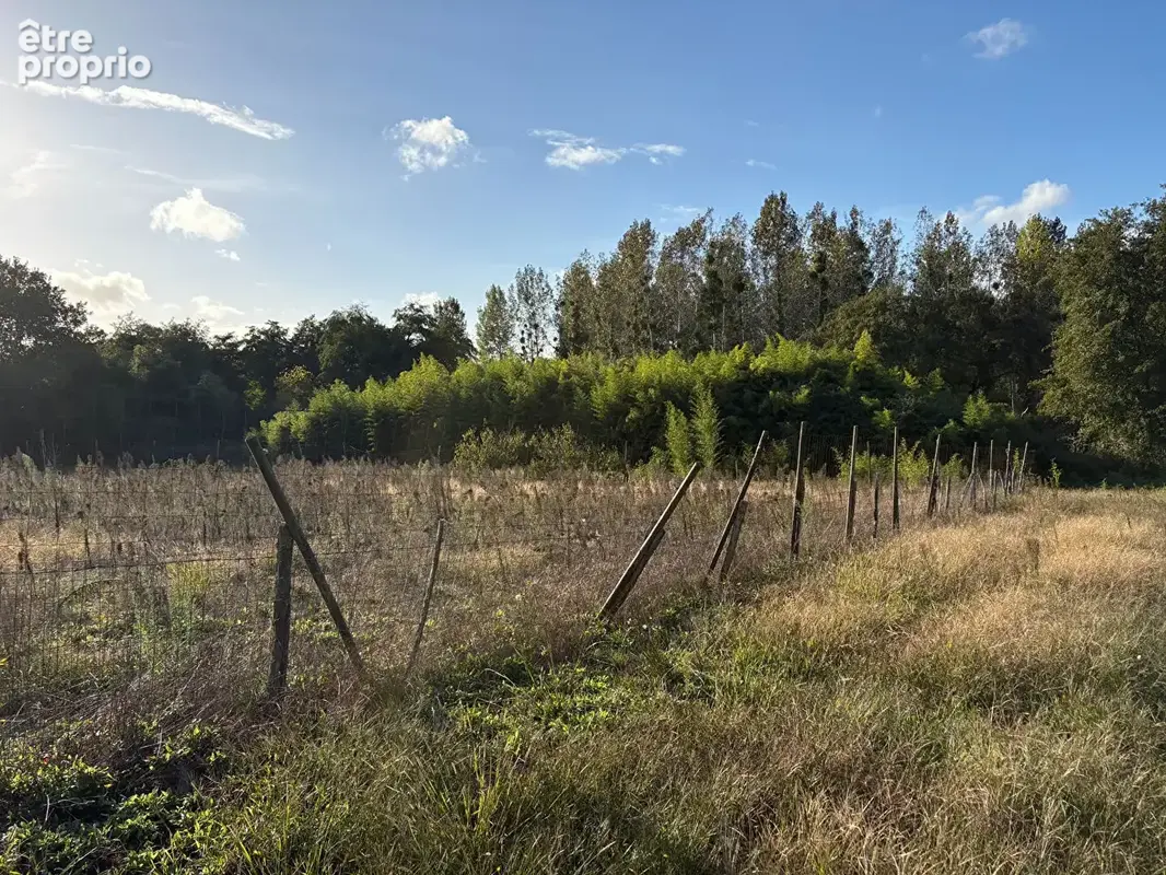 Terrain Carcares Sainte Croix 1560 m2 - photo 5