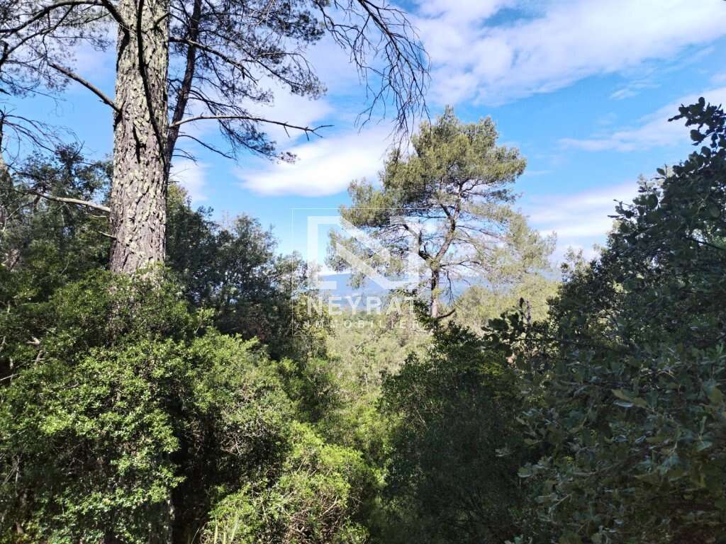 Montauroux - superbe terrain en zone naturelle   5 hectares ! - photo 10