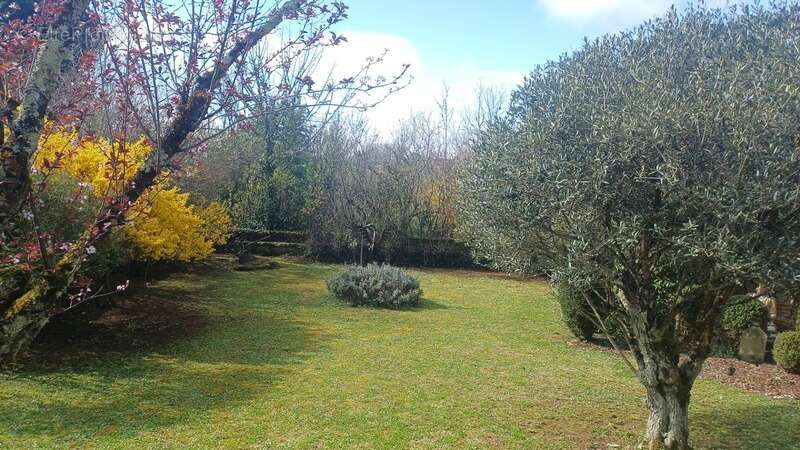 Maison à SAINTE-ALVERE